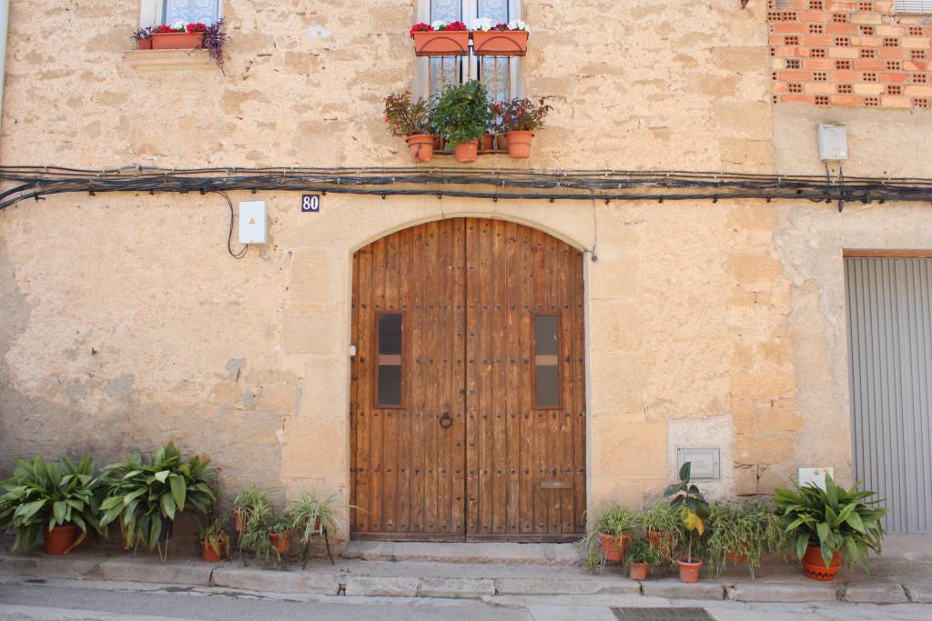 les garrigues en flor